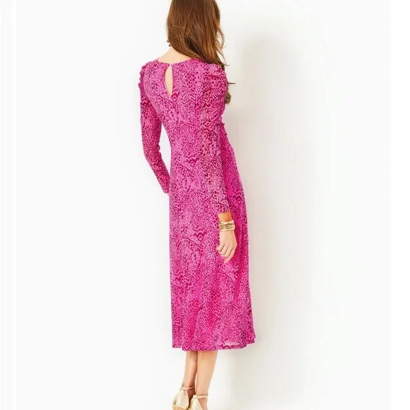 Lilly Pulitzer Preslie Long Sleeve Mesh Midi Dress - Picture 2 of 9